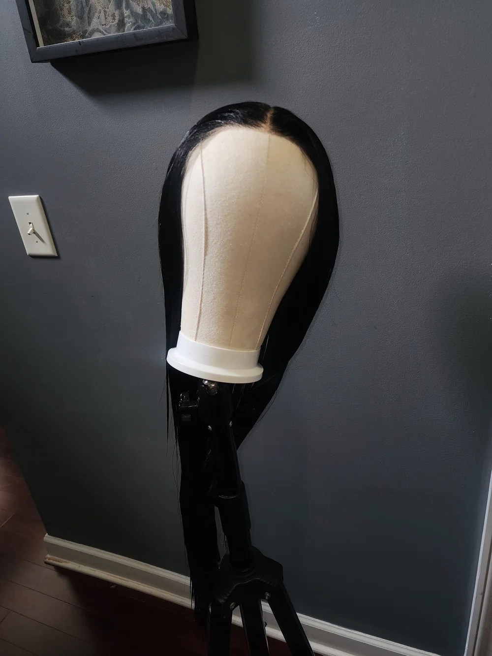 Sleek Black Straight Lace Front Wig